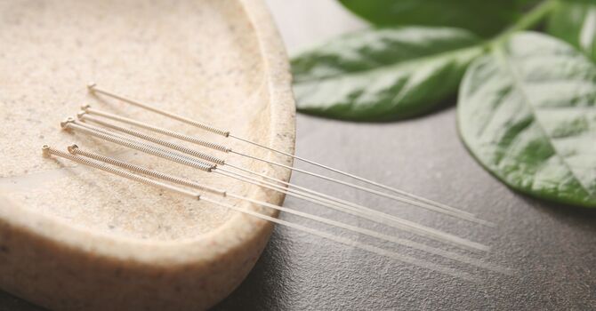 Stress & Nervous System Support
